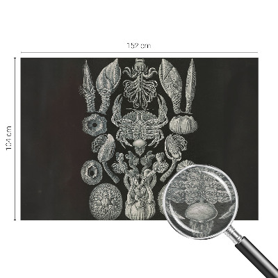 Premium wall mural for bedroom Underwater forms