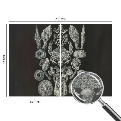 Premium wall mural for bedroom Underwater forms