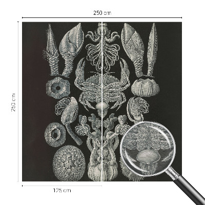 Premium wall mural for bedroom Underwater forms