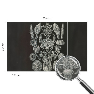 Premium wall mural for bedroom Underwater forms