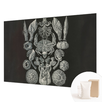 Premium wall mural for bedroom Underwater forms