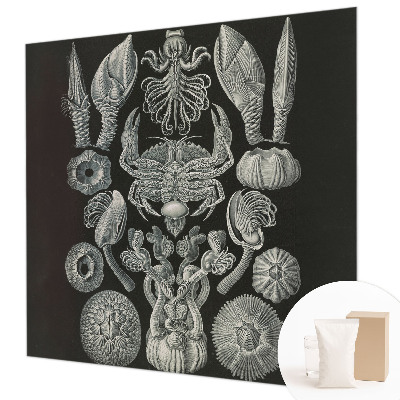 Premium wall mural for bedroom Underwater forms