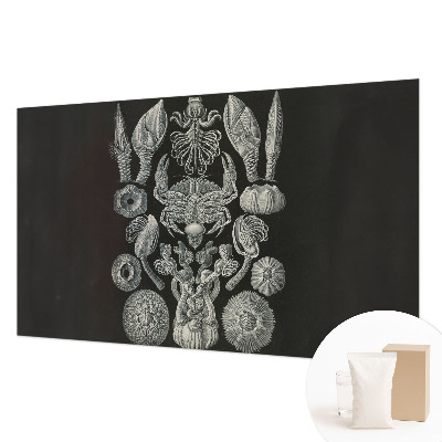 Premium wall mural for bedroom Underwater forms