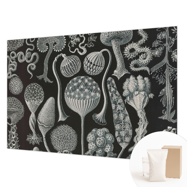 Premium photo wallpaper Magical plants