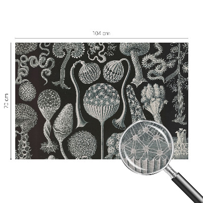 Premium photo wallpaper Magical plants