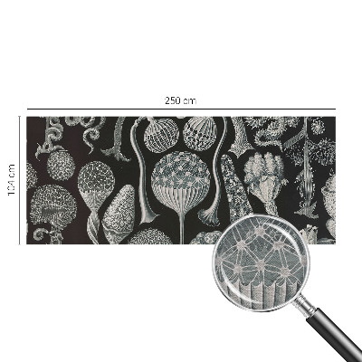 Premium photo wallpaper Magical plants