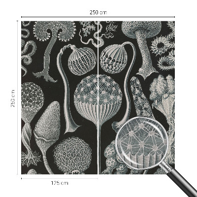 Premium photo wallpaper Magical plants