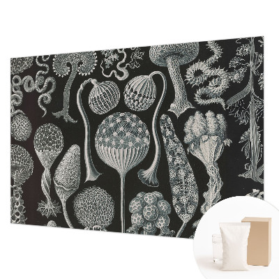 Premium photo wallpaper Magical plants