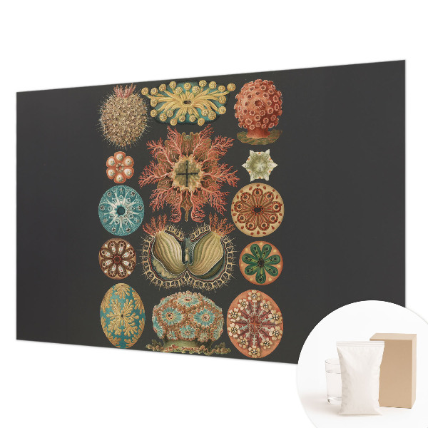 High quality wall mural wallpaper Sea inspirations