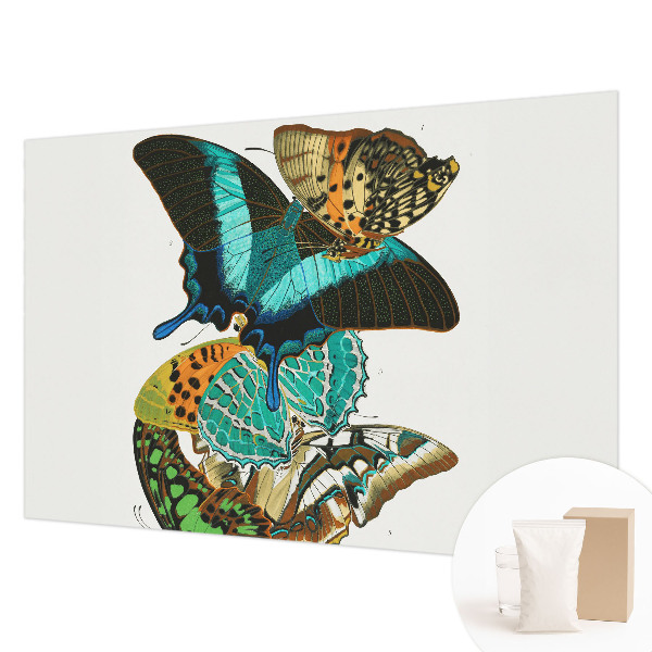Wall mural Colorful butterflies