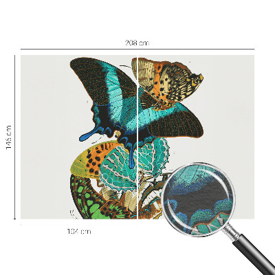 Wall mural Colorful butterflies