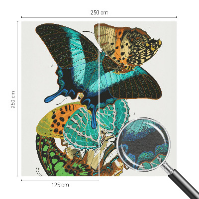 Wall mural Colorful butterflies