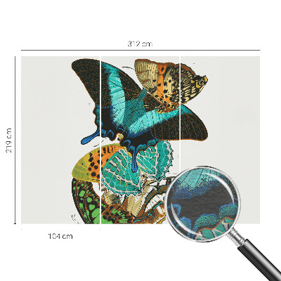 Wall mural Colorful butterflies