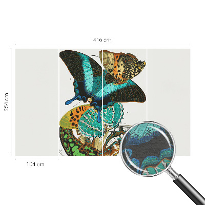 Wall mural Colorful butterflies