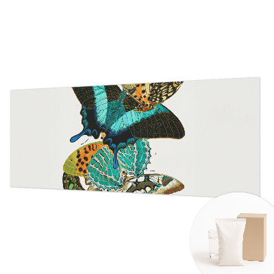 Wall mural Colorful butterflies