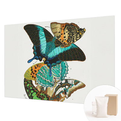 Wall mural Colorful butterflies