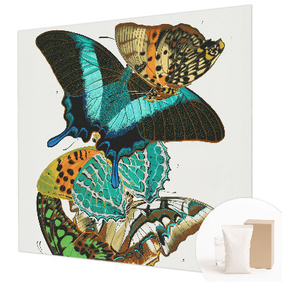 Wall mural Colorful butterflies