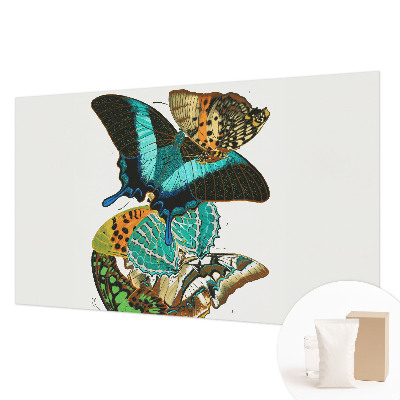 Wall mural Colorful butterflies