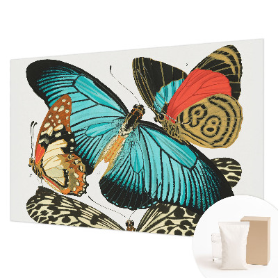 Wallpaper mural Colorful butterflies