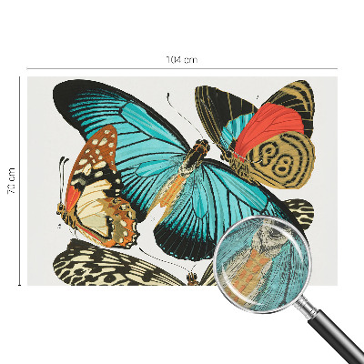 Wallpaper mural Colorful butterflies