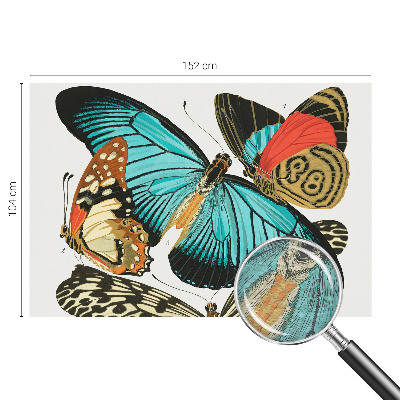 Wallpaper mural Colorful butterflies