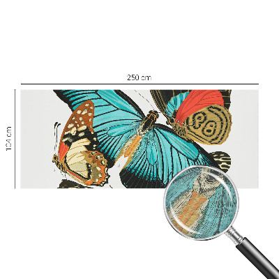 Wallpaper mural Colorful butterflies