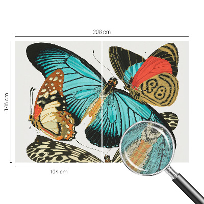 Wallpaper mural Colorful butterflies