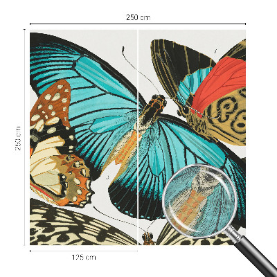 Wallpaper mural Colorful butterflies