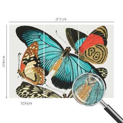 Wallpaper mural Colorful butterflies