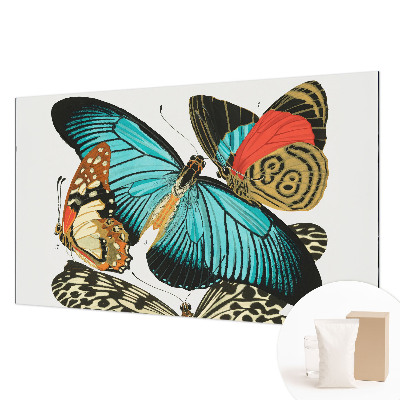 Wallpaper mural Colorful butterflies