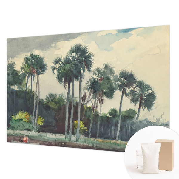 Wall mural for bedroom Exotic palm trees