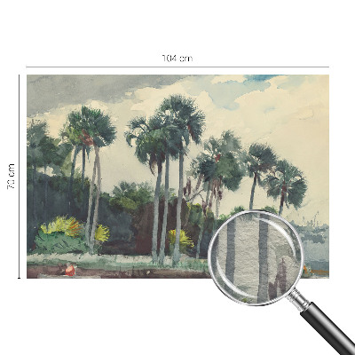 Wall mural for bedroom Exotic palm trees