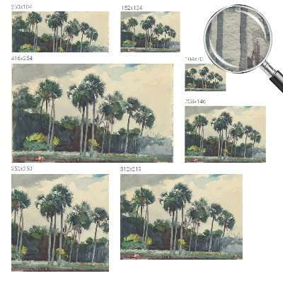 Wall mural for bedroom Exotic palm trees