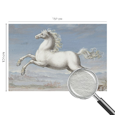 Wallpaper mural for living room Horses in the jump