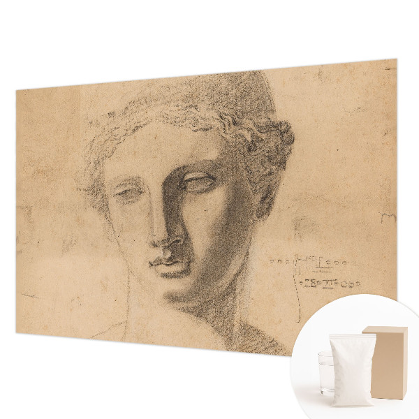 Premium wall mural for bedroom Female portrait