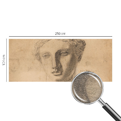 Premium wall mural for bedroom Female portrait