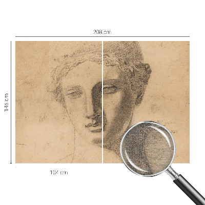 Premium wall mural for bedroom Female portrait