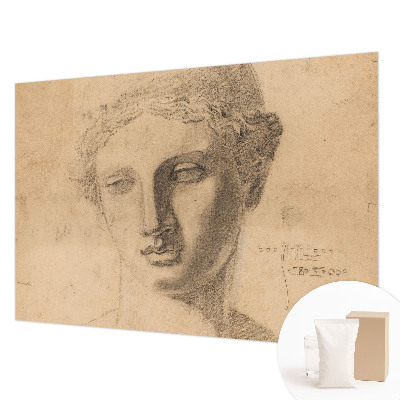 Premium wall mural for bedroom Female portrait