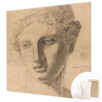 Premium wall mural for bedroom Female portrait