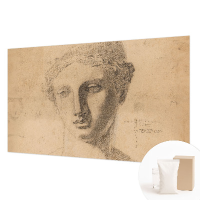 Premium wall mural for bedroom Female portrait