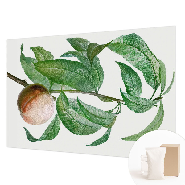 Bedroom wall mural wallpaper Ripe peach