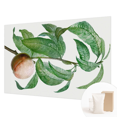 Bedroom wall mural wallpaper Ripe peach