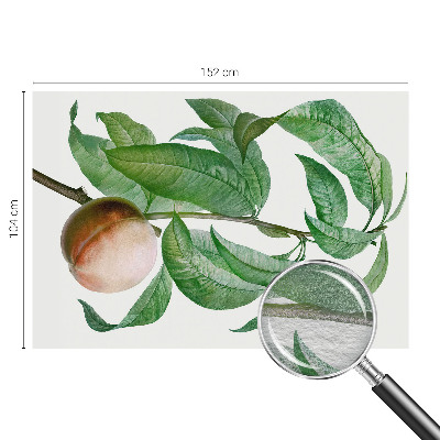 Bedroom wall mural wallpaper Ripe peach