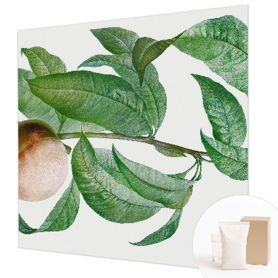 Bedroom wall mural wallpaper Ripe peach