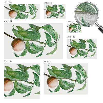 Bedroom wall mural wallpaper Ripe peach