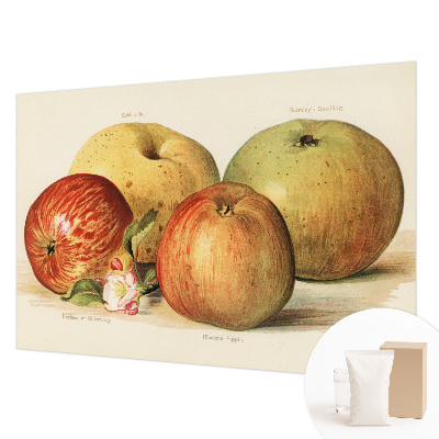 Wallpaper mural Apple blossoms