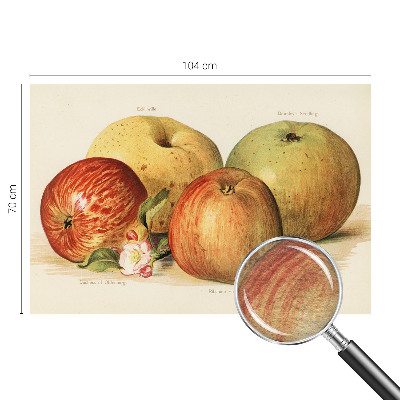 Wallpaper mural Apple blossoms