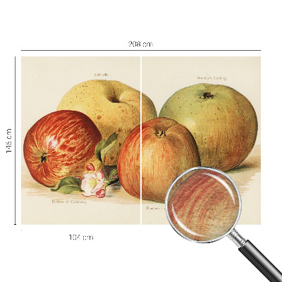 Wallpaper mural Apple blossoms