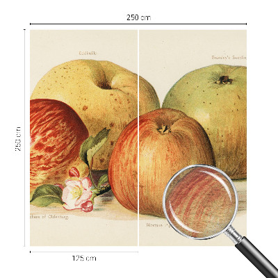 Wallpaper mural Apple blossoms