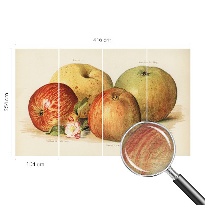 Wallpaper mural Apple blossoms